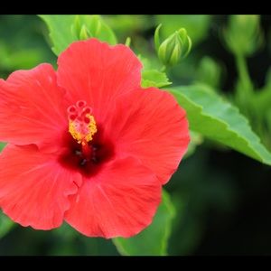 Meet your Posher, Claire